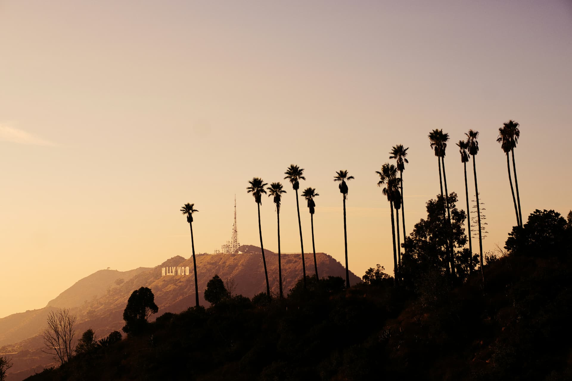 Palm trees and the Hollywood sign on the hillside at sunset